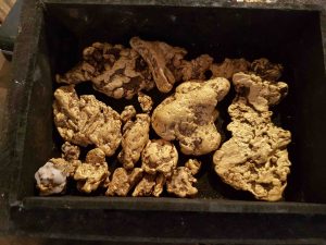 Gold Nuggets | Australian Gold Nuggets | Gold Nugget Specimens